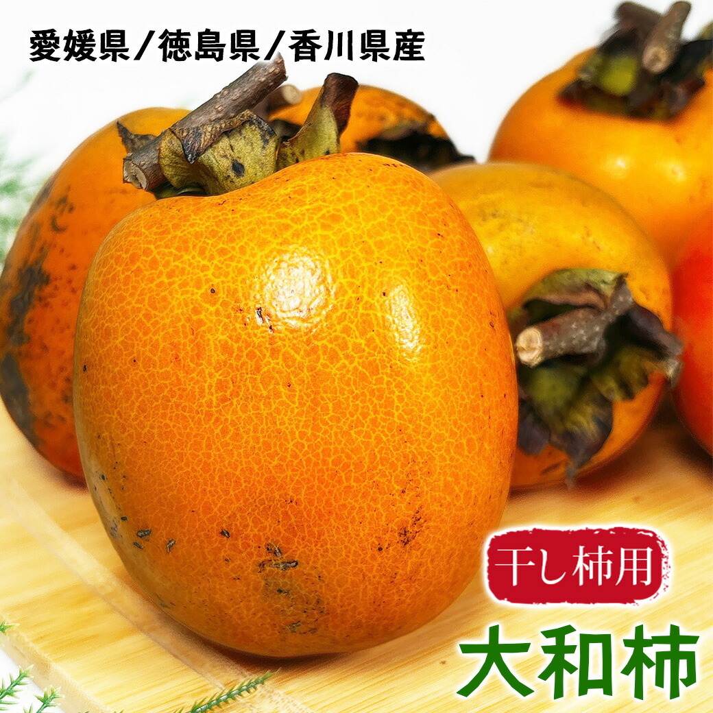 ポケモンキッズカード BANDAI きめ技 ブラッキー エーフィ