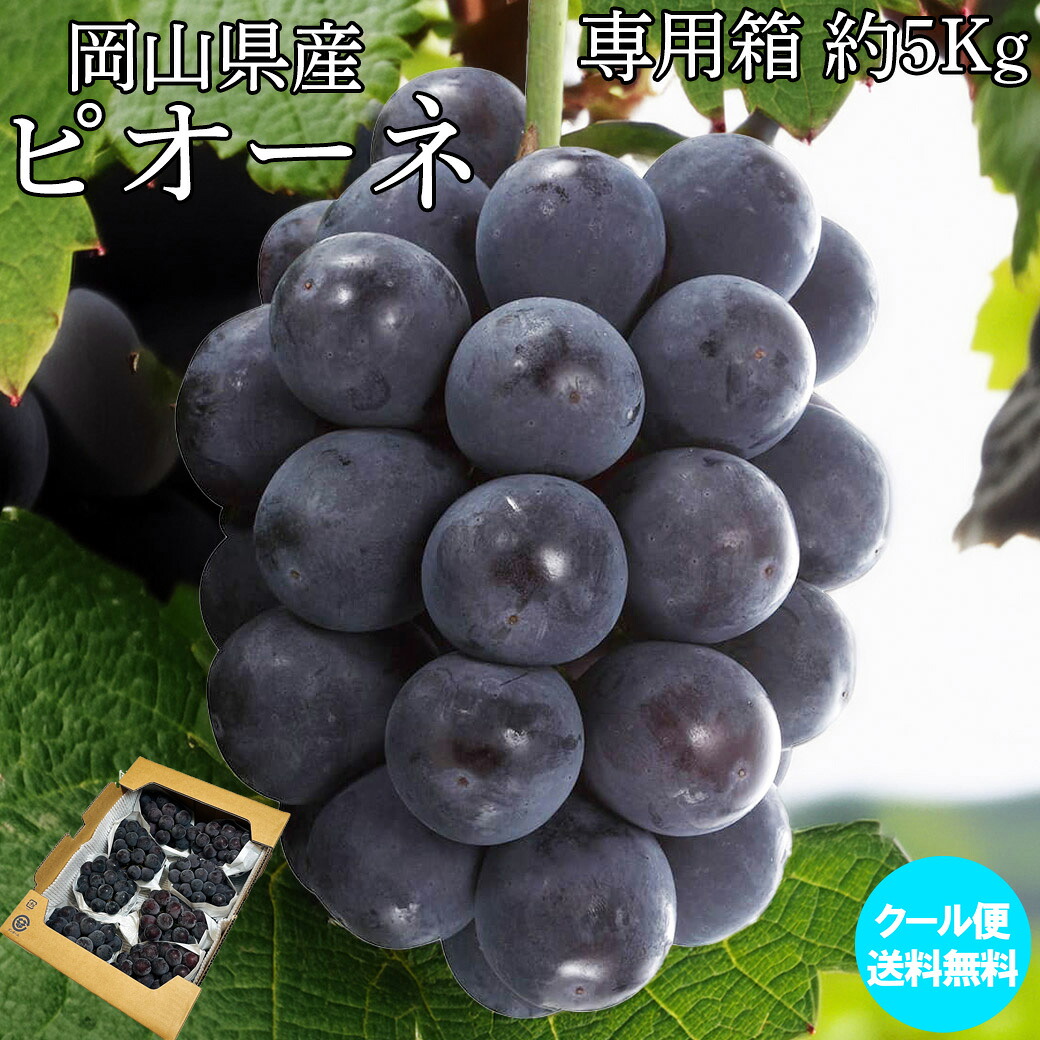 ぶどう ピオーネ 大粒 大容量 5Kg箱 岡山県産 ピオーネ の セット 5Kg箱 6～12房入 ギフト ぶどう ピオーネ クール便 送料無料 差し入れ｜せんかや