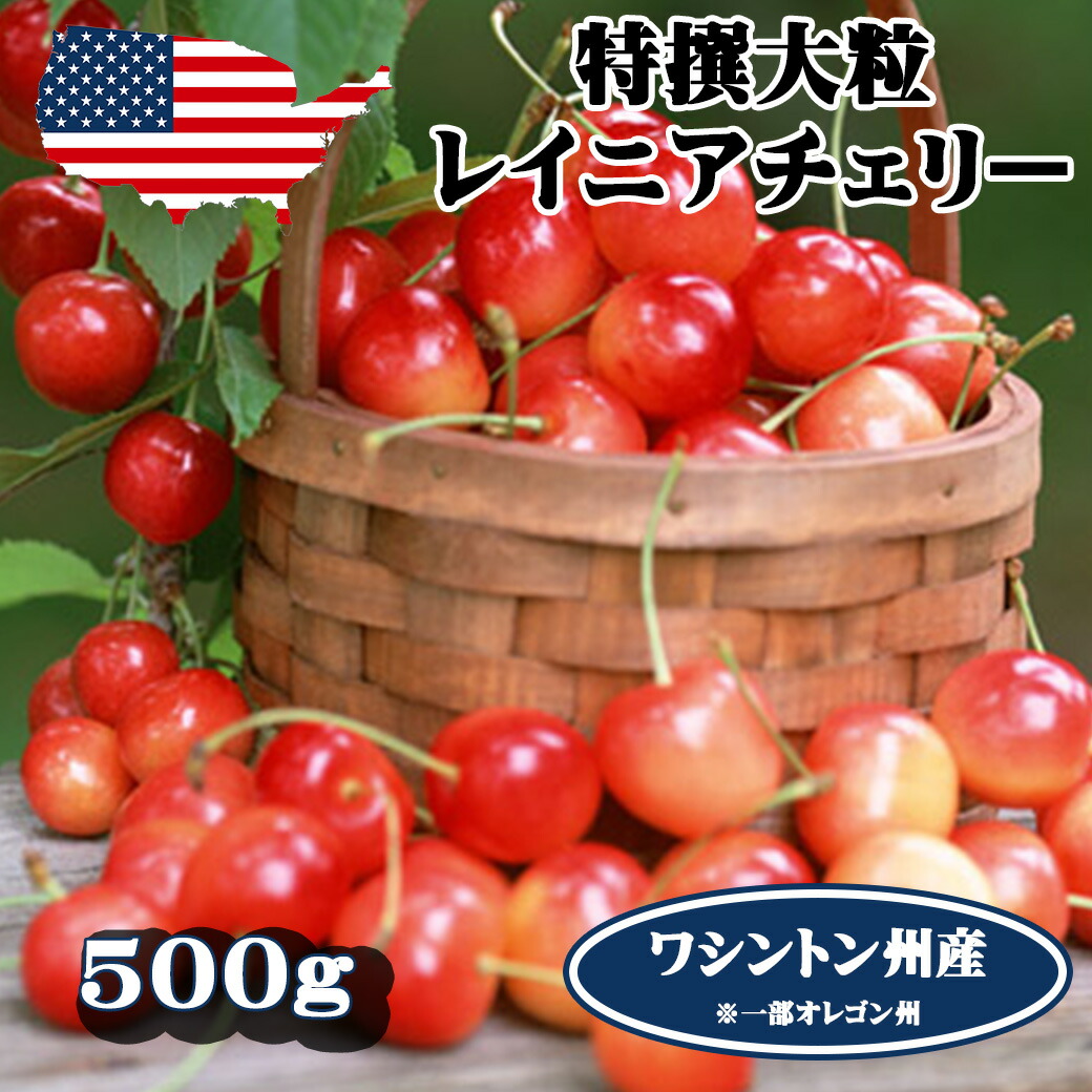 予約 アメリカンチェリー レイニアチェリー ワシントン州産 大粒 500g お試し 高級アメリカンチェリー レイニア 【6月20日～8月9日の出荷予定】 00012KD