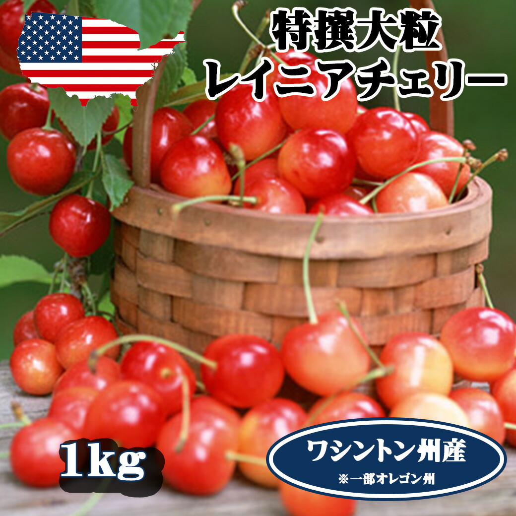 予約 アメリカンチェリー レイニアチェリー ワシントン州産 大粒 1kg  高級アメリカンチェリー レイニア 【6月20日～8月9日の出荷予定】 00013KD