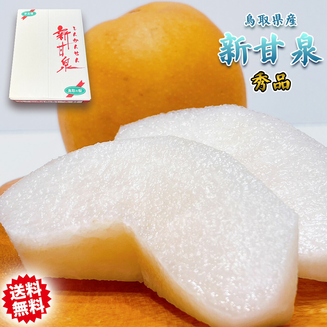 梨 送料無料 5kg 新甘泉 しんかんせんなし 鳥取県産 新甘泉梨 秀品 ブランド箱 なし