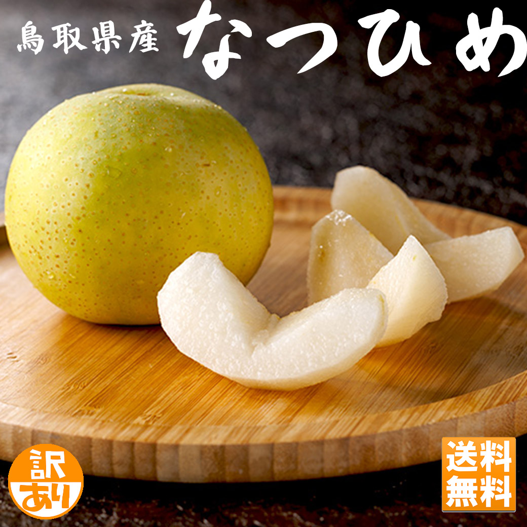 【楽天市場】梨 なし 訳あり 送料無料 鳥取県産 なつひめ 5kg 送料無料 鳥取 梨 夏姫 なし ナシ 梨 5kg ギフト 和梨 青梨:せんかや