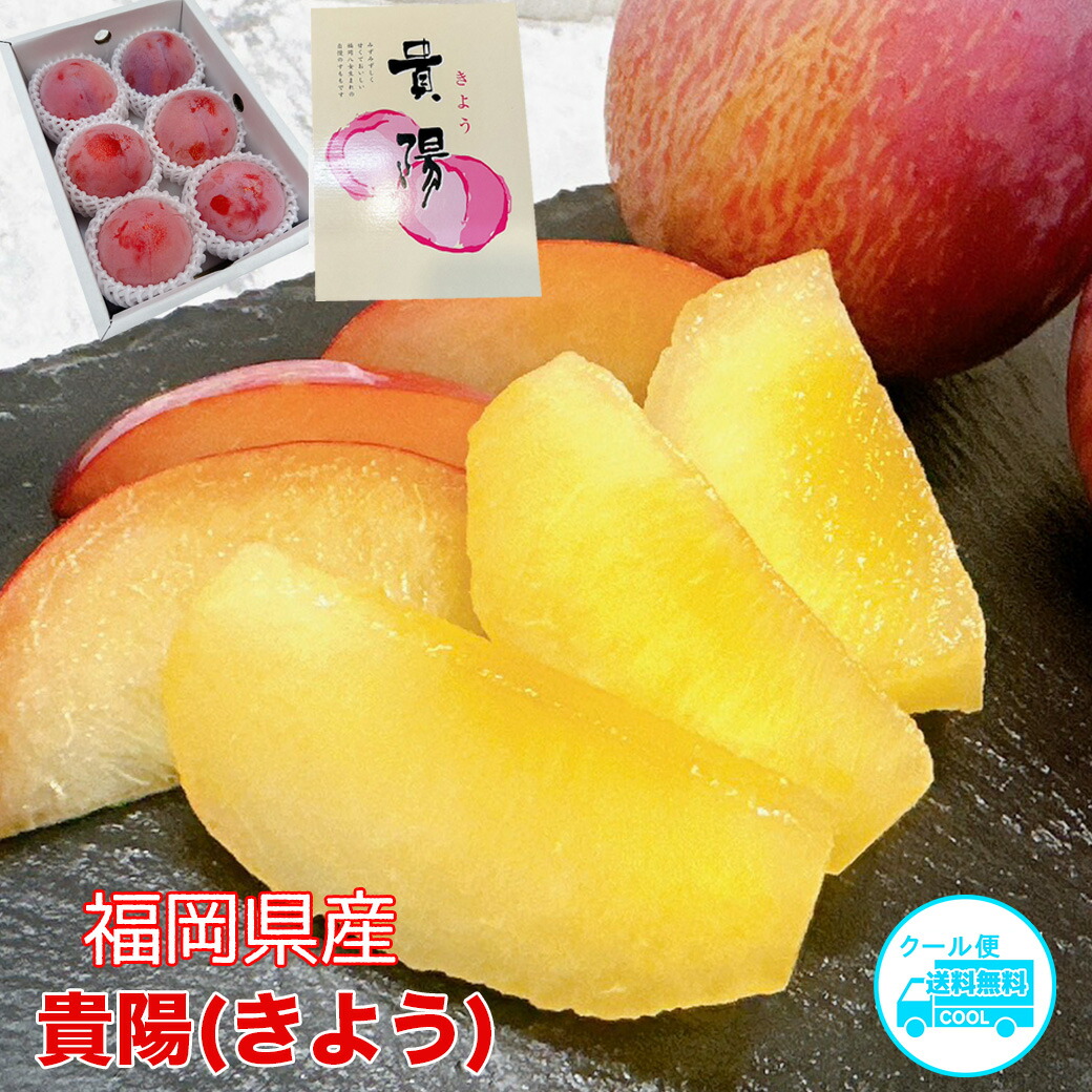 【楽天市場】お中元 すもも プラム 貴陽 きよう 福岡県産 貴陽 1箱 5-6玉入 ギフト プレゼント 贈答用 ぷらむ：せんかや