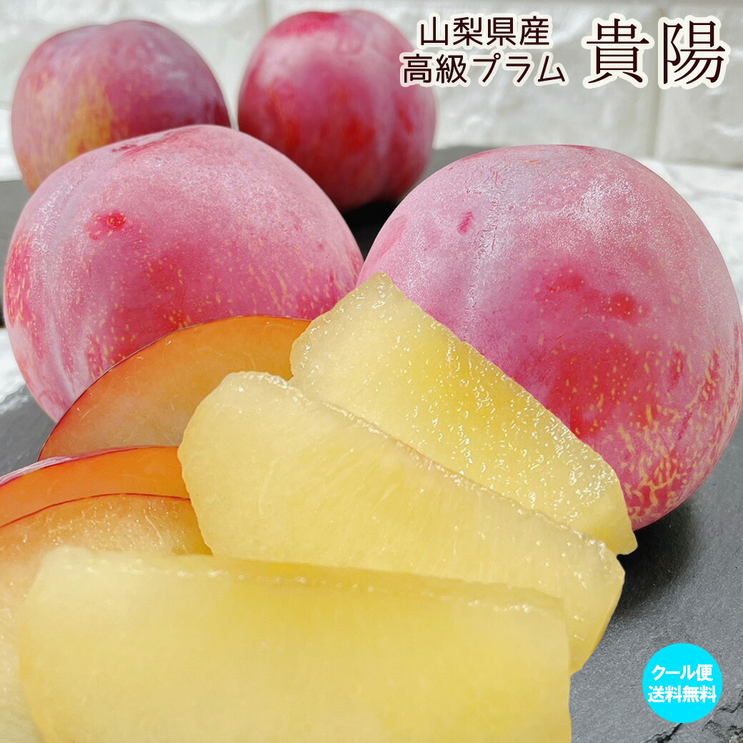 楽天市場】新潟産 プラム（すもも）「太陽」2kg（約9〜12玉