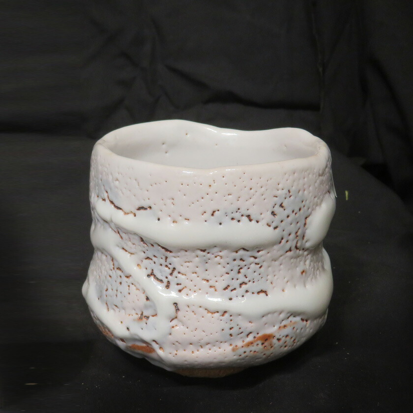 茶道具 抹茶茶碗（まっちゃちゃわん） 絵志野 茶碗 信楽焼 灰塚窯 木戸 貞昭 63,525円