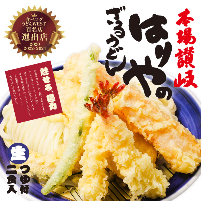うどんさん専用 送料無料 ニップン 高原通商店 讃岐ざるうどん 360g×25個 : 御用