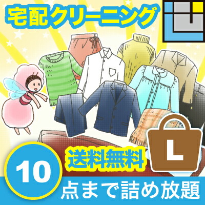 送料無料(本州・四国)せんたく屋さん【10点パック(L)】