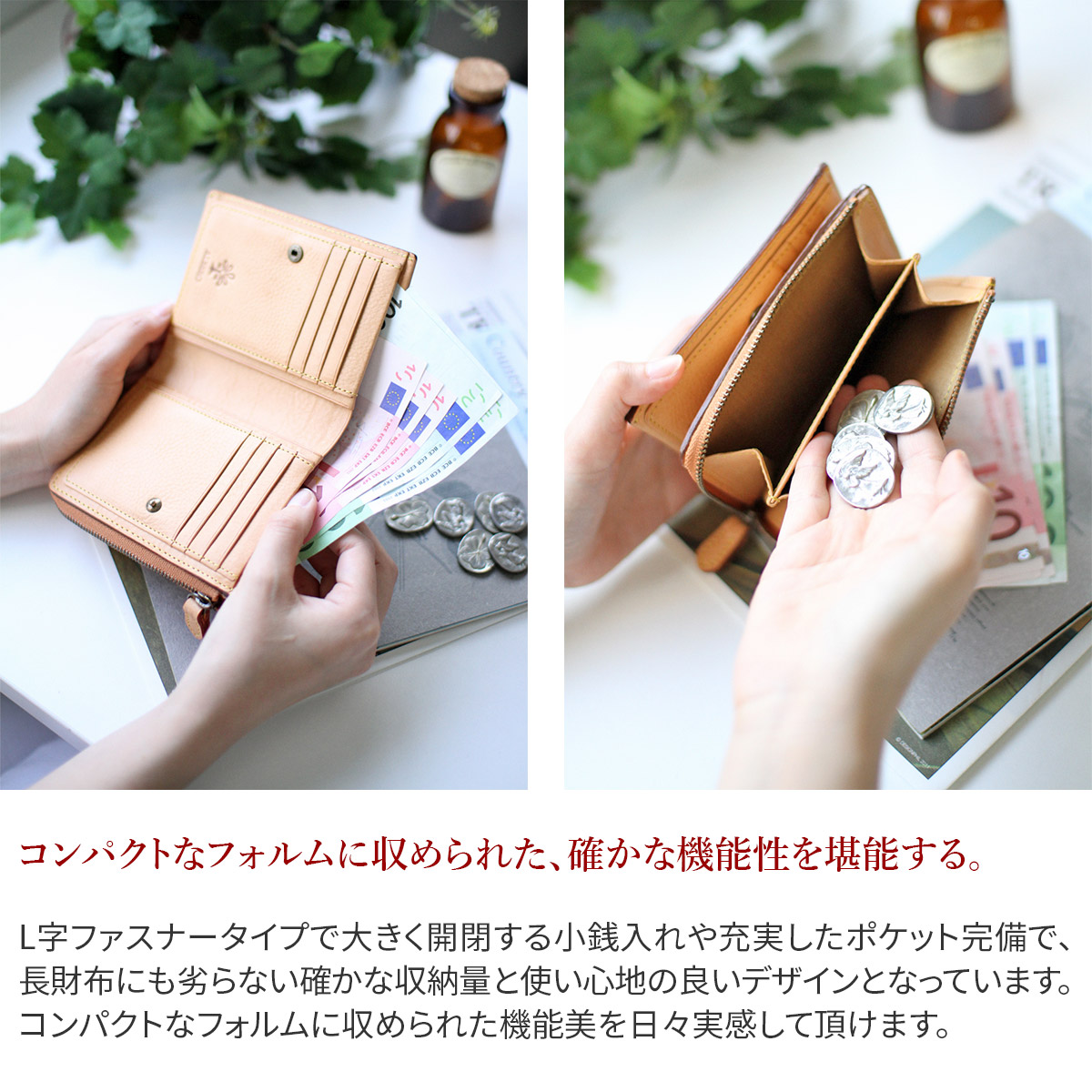 選べる綺麗ノベルティ倖せ Albero アルベロ Nature ナチュレ 御釣り入れ好運二つ折り紙入 5348レディース 財布 二つ折り財布 ヌメ甲殻 ヌメ木肌 日本製 進物 かわいい 小意気 戴物 ブランド名 Covrigaria Es