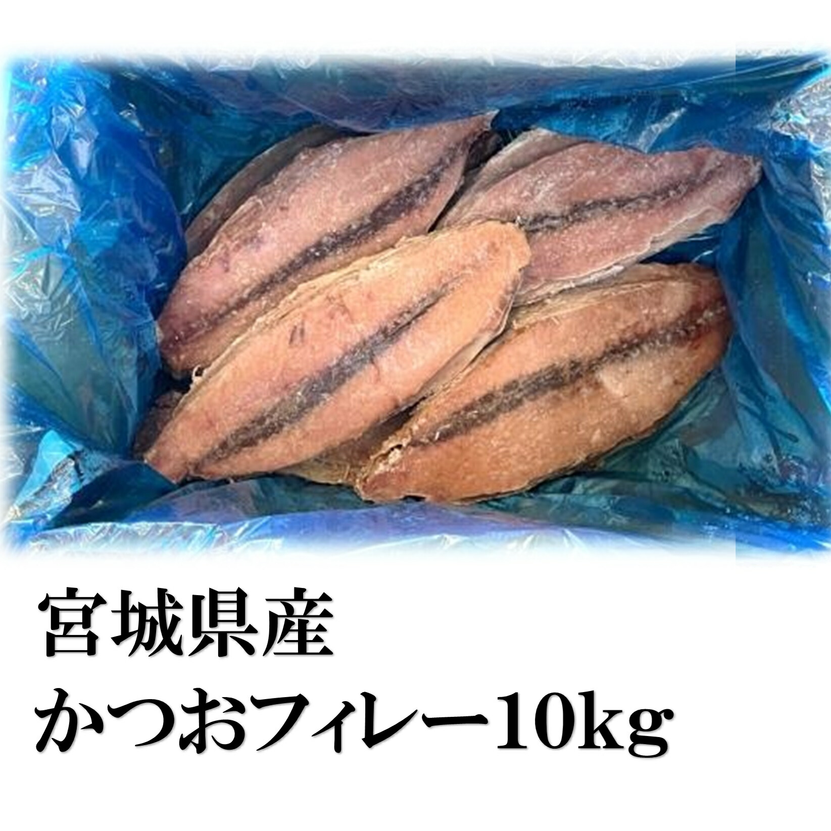 業務用 宮城県産 かつおフィレー１０ｋｇ（約１１～１５枚）（１３８０円/１ｋｇ）