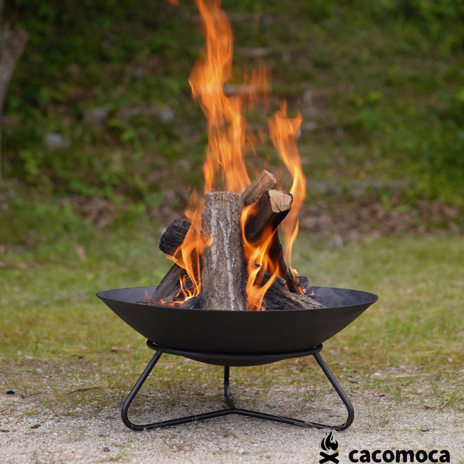 楽天市場】HOT CAMP 焚き火台 Fire Base Sサイズ 早野研工