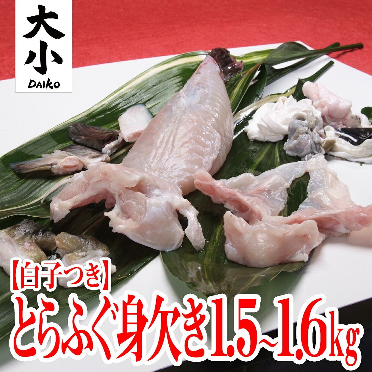 【送料無料】白子付きとらふぐ身欠き(みがき)1.5～1.6kgサイズ【山口県産仙崎ふぐ】｜仙崎ふぐ大小