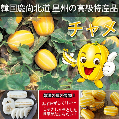 韓国高級特産品】「星州 チャメ 5玉セット 」 冷蔵便！ 夏の果物 