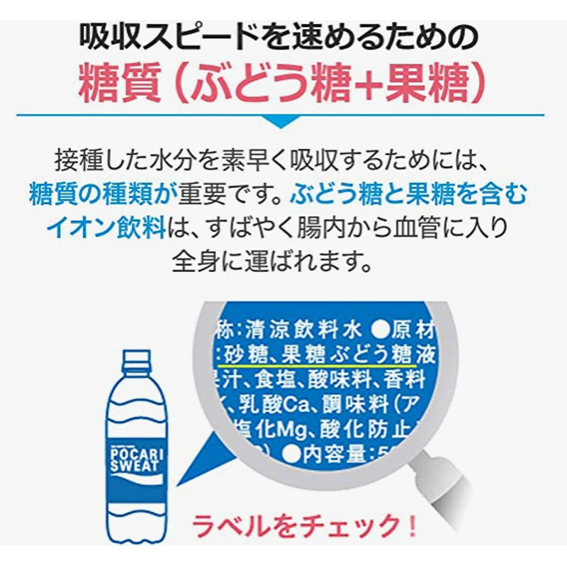 96％以上節約 大塚製薬 イオンウォーター 500ml×24本 fucoa.cl