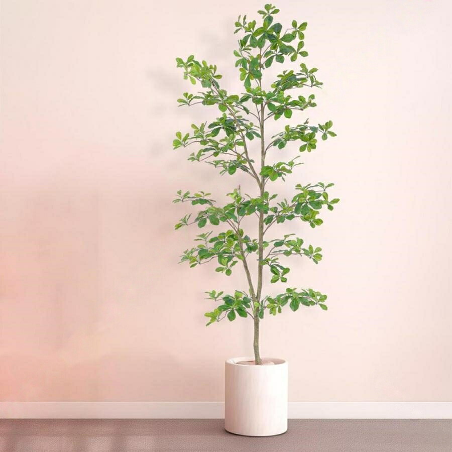 フェイクグリーン 室内用 人工観葉植物 ベンジャミン 造花 常緑樹 多幸の木 オシャレ インテリア飾り リアル 大型 シンプル プレゼント用 贈り物 風水 鉢植え グリ インテリア 観葉植物｜Septa Store