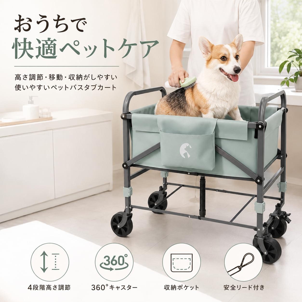 春の身寄り家庭菜園、はじめるなら今！