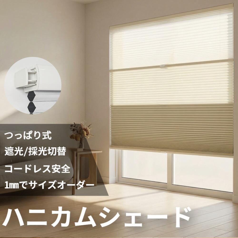 AuraVeil ツイン ハニカムシェード つっぱり コードレス ハニカムスクリーン 遮光 採光 覆い布線路に初っ切り 筋目映写幕 賃貸借契約聞き入れる 1粍大きさ購入注文 初っ切り飾り気の無い 和室 省エネ 撥水 寒さ打つ手 UVとり捨てる 2年引き受ける