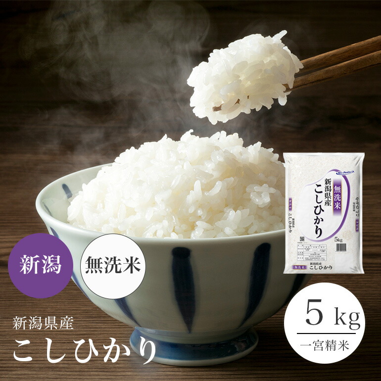 コシヒカリ 精米 10kg 送料無料 お米 兵庫県産こしひかり 令和6