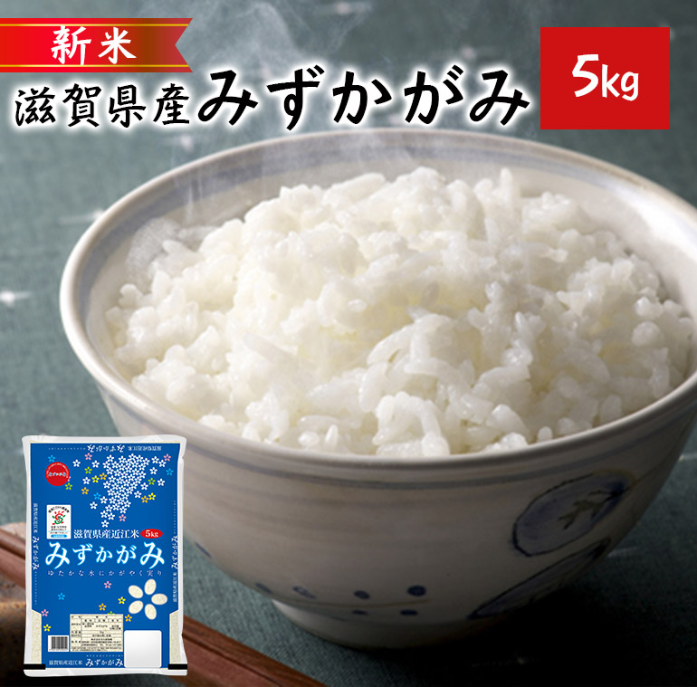 楽天市場 みずかがみ 環境こだわり米 ５ｋｇ 令和２年 滋賀県産 送料無料 近江の国から木村商店