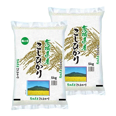 楽天市場】新米 令和5年産 茨城県産 コシヒカリ 精米 10kg (5kg×2袋