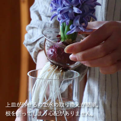 水栽培 花瓶 Bulb Vase バルブベース ロングサイズ フラワーベース シンプル おしゃれ ガラス ポット ヒヤシンス ムスカリ サボテン ハイドロカルチャー スパイス 花器 種 スポンジ セット 液肥 Giosenglish Com