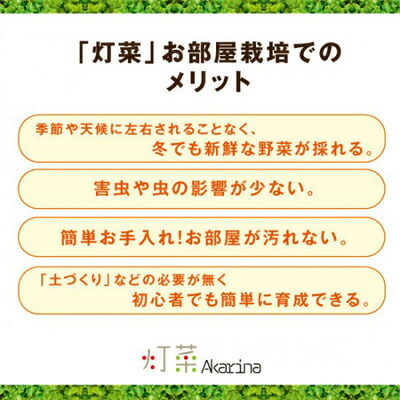 Led 水耕栽培 キット Akarina01 灯菜 アカリーナ 型番 Oma01 おしゃれな 水耕栽培器 ハーブ 栽培キット バジル タイム ルッコラ インテリア 間接照明 簡単 手軽 インドアグリーン おしゃれ プレゼント プレゼント Fikrimahsul Com
