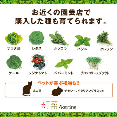 Led 水耕栽培 キット Akarina01 灯菜 アカリーナ 型番 Oma01 おしゃれな 水耕栽培器 ハーブ 栽培キット バジル タイム ルッコラ インテリア 間接照明 簡単 手軽 インドアグリーン おしゃれ プレゼント プレゼント Fikrimahsul Com
