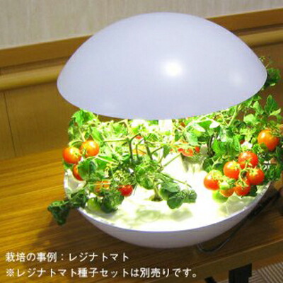 Led 水耕栽培 キット Akarina01 灯菜 アカリーナ 型番 Oma01 おしゃれな 水耕栽培器 ハーブ 栽培キット バジル タイム ルッコラ インテリア 間接照明 簡単 手軽 インドアグリーン おしゃれ プレゼント プレゼント Fikrimahsul Com