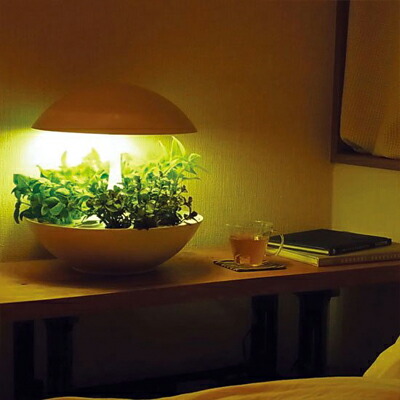 Led 水耕栽培 キット Akarina01 灯菜 アカリーナ 型番 Oma01 おしゃれな 水耕栽培器 ハーブ 栽培キット バジル タイム ルッコラ インテリア 間接照明 簡単 手軽 インドアグリーン おしゃれ プレゼント プレゼント Fikrimahsul Com