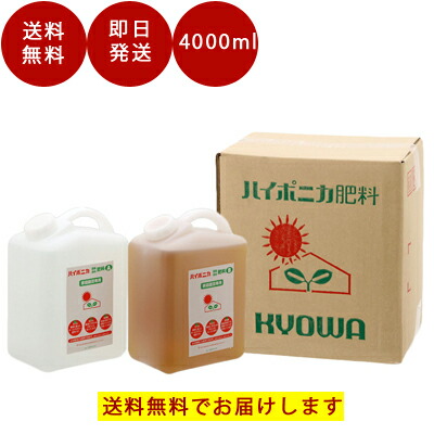 送料無料 ハイポニカ 液体肥料 A剤 B剤 各4l 4000ml セット 観葉植物 液肥 野菜 液肥 アクアリウム 水耕栽培キット リン酸 多い 成長 水栽培 ハイポニカ 液体 肥料 花 野菜 栽培 家庭菜園 Tajikhome Com