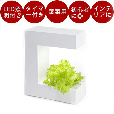 LED水耕栽培器 アカリーナ14 灯菜 簡単 手軽 インドアグリーン おしゃれ ギフト プレゼントLED付き 水耕栽培 キット 野菜 かわいい Akarina14 灯菜 アカリーナ 14 型番