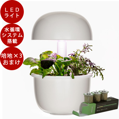 楽天市場】【栽培ポット＆種のおまけ付】LED 水耕栽培 キット Plantui