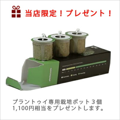 メーカー直送led 水耕栽培 キット ポット 花瓶 植物育成 3e 栽培キット プレゼント おしゃれ ハーブ ライト プラントゥイ3e かわいい ヒヤシンス 球根 Led Plantui Led 室内