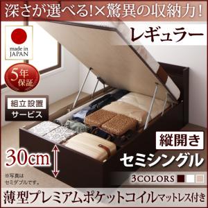 【組立設置ｻｰﾋﾞｽ付 跳ね上げ式ベッド 収納ベッド 】 収納家具 収納ベッド 大容量 薄型プレミアムポケットコイルマットレス付き ポケットコイル 【縦開き】 【セミシングルベッド 】 マットレスセット セミシングルサイズ 【深さ:レギュラー】