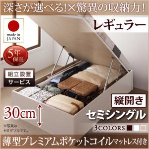 【組立設置ｻｰﾋﾞｽ付 跳ね上げ式ベッド 収納ベッド 】 収納家具 収納ベッド 大容量 薄型プレミアムポケットコイルマットレス付き ポケットコイル 【縦開き】 【セミシングルベッド 】 マットレスセット セミシングルサイズ 【深さ:レギュラー】