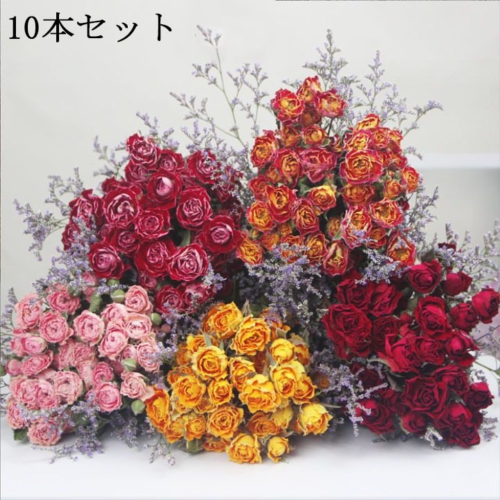 楽天市場】【小分け】 『ミニバラヘッド アソート』 薔薇 ドライ