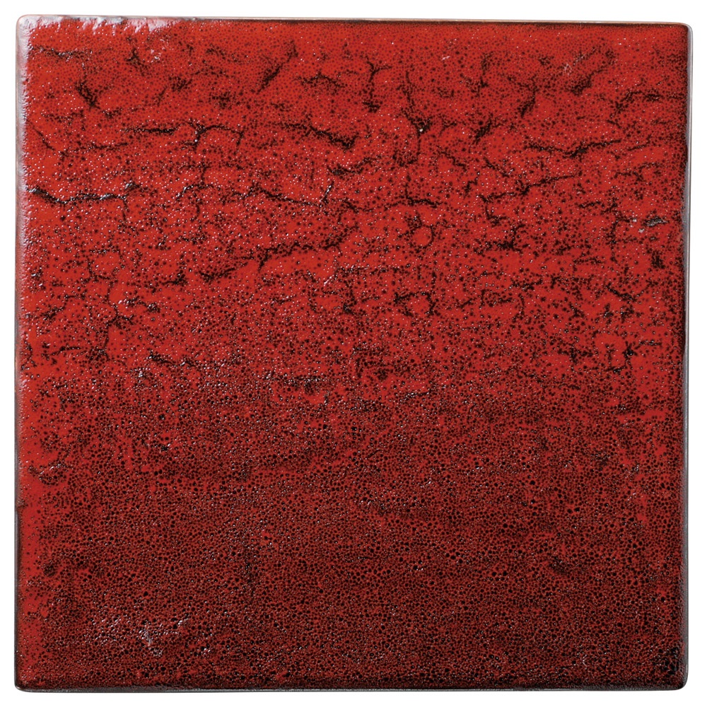 岩肌ｼﾘｰｽﾞ 正角24cm皿(紅柚子) [24.5×24.5×1.2cm] | 食器 和食器 和皿 カフェ 料亭 業務用 贈答 プレゼント ギフト おしゃれ かわいい お祝い 開店 定食 セット