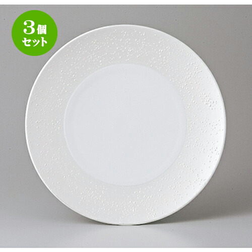 在庫一掃 3個セット モダンスタイル グラン シルバー28cmプレート 28 X 2 8cm 内径17cm 大皿 プレート パーティ 人気 おすすめ 食器 洋食器 業務用 飲食店 カフェ うつわ 器 おしゃれ かわいい ギフト プレゼント 引き出物 誕生日 贈り物