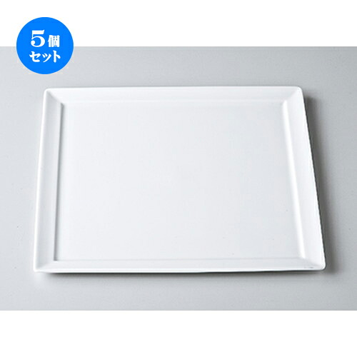 5個セット☆ モダンスタイル ☆ 白磁ODH25cm正角皿 [ 22.3 x 10.6cm ］ | 前菜 オードブル アンティパスト 人気 おすすめ 食器 洋食器 業務用 飲食店 カフェ うつわ 器 おしゃれ かわいい ギフト プレゼント 引き出物 誕生日 贈り物 贈答品 自宅 イベント 食器セット