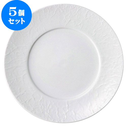 輝く高品質な 5個セット Washi 27cmディナー D27 5 X H2 4cm 大皿 プレート パーティ 人気 おすすめ 食器 洋食器 業務用 飲食店 カフェ うつわ 器 おしゃれ かわいい ギフト プレゼント 引き出物 誕生日 贈り物 贈答品 自宅用 大きい 高知インター店 Expert