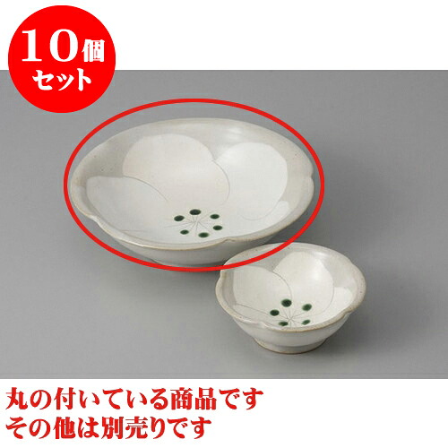 10個セット 刺身 粉引梅刺身鉢 [15.5 x 4.5cm] | 和食器 刺身 鉢 ボウル 料亭 ホテル 食器 業務用 飲食店 カフェ うつわ 器 おしゃれ かわいい ギフト プレゼント 内祝い 誕生日 贈り物 贈答品 おすすめ 食器セット｜せともの本舗