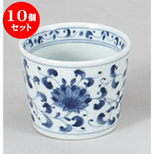 10個仕掛ける 目の前設備 菊唐草蕎麦生生世世口 [8 x 6.5糎 200竓] | ソバ 目の前 猪口 ちょこ 生生世世口 うどん おすすめ 一般受け 食器 お役目用 飲食店 喫茶店 うつわ 器 今めかしい 可愛らしい 着飾る 差し上げ物 差し上げ物 差し上げ物 差し上げ物 住みか用
