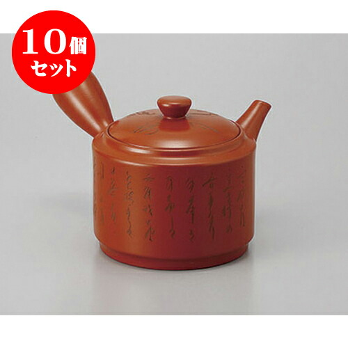 10個書き割り 急須 朱泥3号細字急須(ポコアミ) [500竓] | ポット 急須 きゅうす 土瓶 茶の葉 薬の１回分 まったり 一般受け おすすめ 食器 御勤め用 飲食店 喫茶店 うつわ 器 今めかしい 愛くるしい 差し上げ物 差し上げ物 差し上げ物 生まれ落ちる日 差し上げ物 呉れて遣る品 食器書き割り