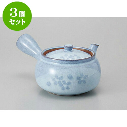 3個仕かける 急須 花シズクパノラマ金具付急須 [380竓] | ポット 急須 きゅうす 土瓶 茶の葉 薬の１回分 まったり 一般受け おすすめ 食器 御勤め用 飲食店 喫茶店 うつわ 器 格好のいい 可愛らしい 差し上げ物 差し上げ物 差し上げ物 生まれ落ちる日 差し上げ物 差し上げる品 食器仕かける