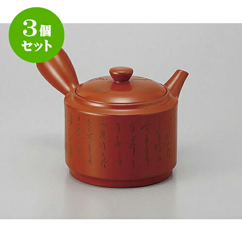 3個セット 急須 朱泥3号細字急須(ポコアミ) [500cc] | ポット 急須 きゅうす 土瓶 お茶 一服 まったり 人気 おすすめ 食器 業務用 飲食店 カフェ うつわ 器 おしゃれ かわいい ギフト プレゼント 引き出物 誕生日 贈り物 贈答品 食器セット｜せともの本舗
