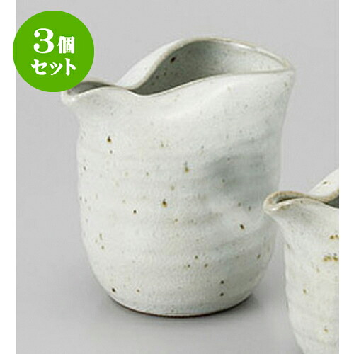 3個セット 冷酒 粉引青磁冷酒器(大) [11.3 x 8.7 x 10.5cm 510cc] | 冷酒 お酒 日本酒 徳利 酒器 きき酒 バー bar 晩酌 人気 おすすめ 食器 業務用 飲食店 カフェ うつわ 器 おしゃれ かわいい ギフト プレゼント 引き出物 誕生日 贈り物 贈答品 食器セット｜せともの本舗 10,527円