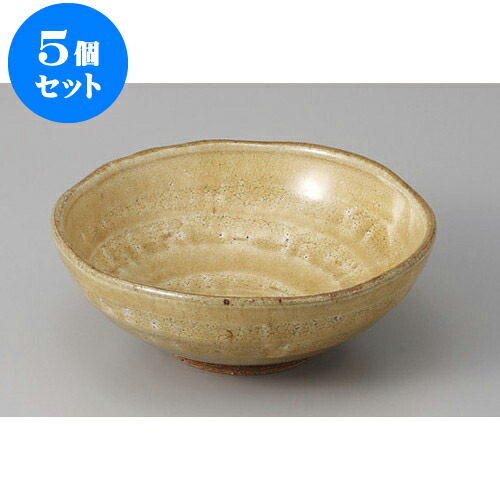 5個セット 中鉢 灰釉梅花皮5.0鉢 [15.2 x 5.5cm] | 中鉢 盛鉢 取り鉢 ボウル 中 おすすめ 人気 食器 業務用 飲食店 カフェ うつわ 器 おしゃれ かわいい お洒落 ギフト プレゼント 引き出物 内祝い 結婚祝い 誕生日 贈り物 贈答品 食器セット