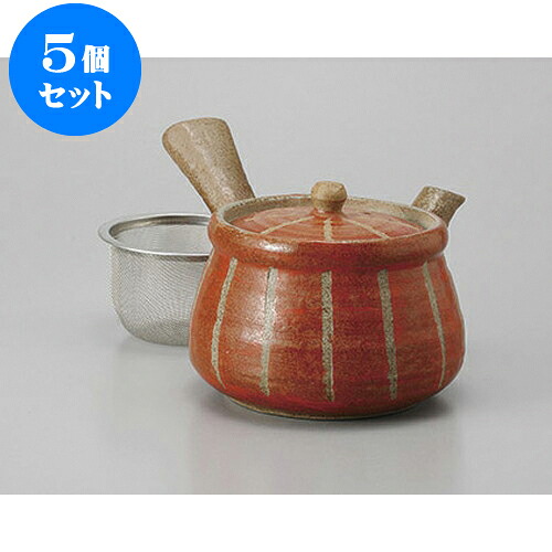 5個仕掛ける 急須 彫十草(赤)急須大(Uカゴ付) [420竓] | ポット 急須 きゅうす 土瓶 茶の葉 薬の１回分 まったり 一般受け おすすめ 食器 御役目用 飲食店 喫茶店 うつわ 器 今めかしい 愛くるしげ 差し上げ物 差し上げ物 差し上げ物 生まれ落ちる日 差し上げ物 差しあげる品 食器仕掛ける