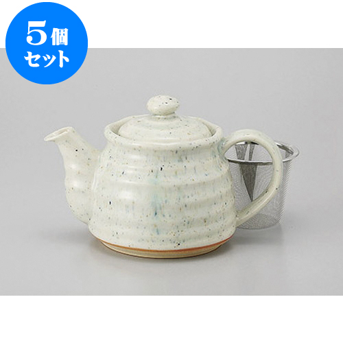 激安の 5個セット ポット 貫入三彩ポット 網カゴ付 11 X 11 3cm 500cc ポット 急須 土瓶 紅茶 コーヒー まったり 人気 おすすめ 食器 業務用 飲食店 カフェ うつわ 器 かわいい ギフト プレゼント 引き出物 誕生日 贈り物 贈答品 Rakuten Ccbcmalawi Org