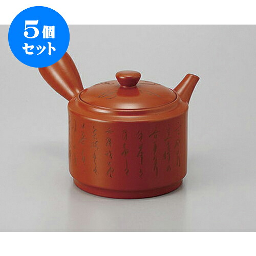 5個仕掛ける 急須 朱泥3号細字急須(ポコアミ) [500竓] | ポット 急須 きゅうす 土瓶 茶の葉 薬の１回分 まったり 一般受け おすすめ 食器 御役目用 飲食店 喫茶店 うつわ 器 今めかしい 愛くるしげ 差し上げ物 差し上げ物 差し上げ物 生まれ落ちる日 差し上げ物 差しあげる品 食器仕掛ける