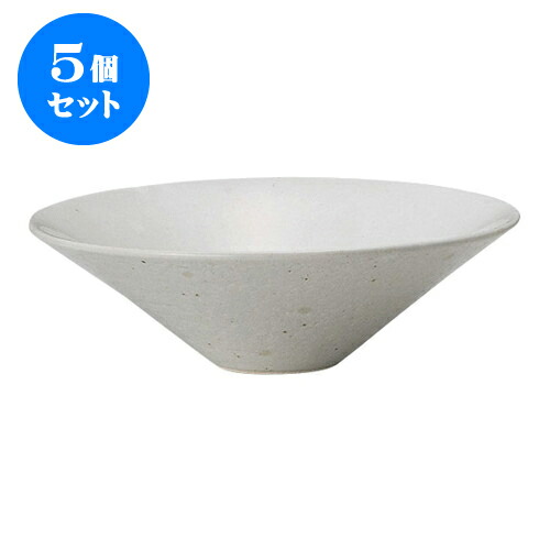 5個セット デリカウェア スノードロップ大盛鉢 [25 x 8cm] | 人気 おすすめ 食器 洋食器 業務用 飲食店 カフェ うつわ 器 おしゃれ かわいい ギフト プレゼント 誕生日 贈答品 食器セット 食器セット｜せともの本舗